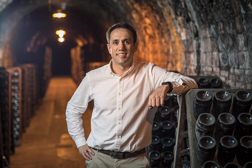 Bodegas Segura Viudas